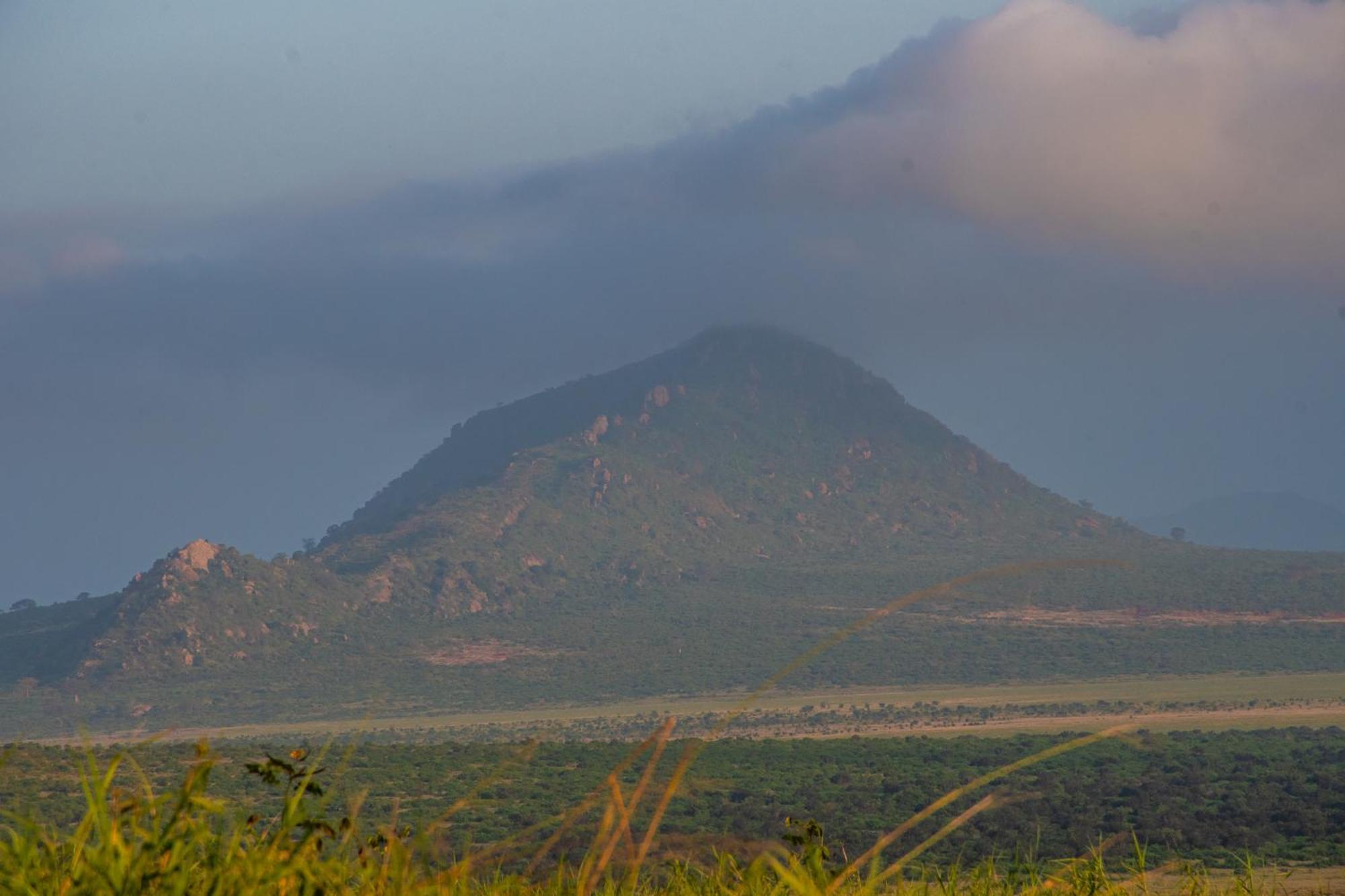 Voi Safari Lodge Екстер'єр фото