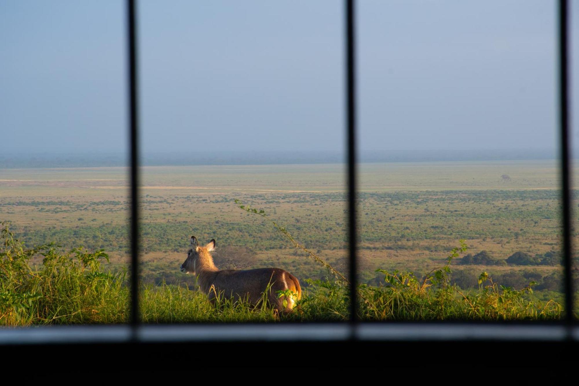 Voi Safari Lodge Екстер'єр фото
