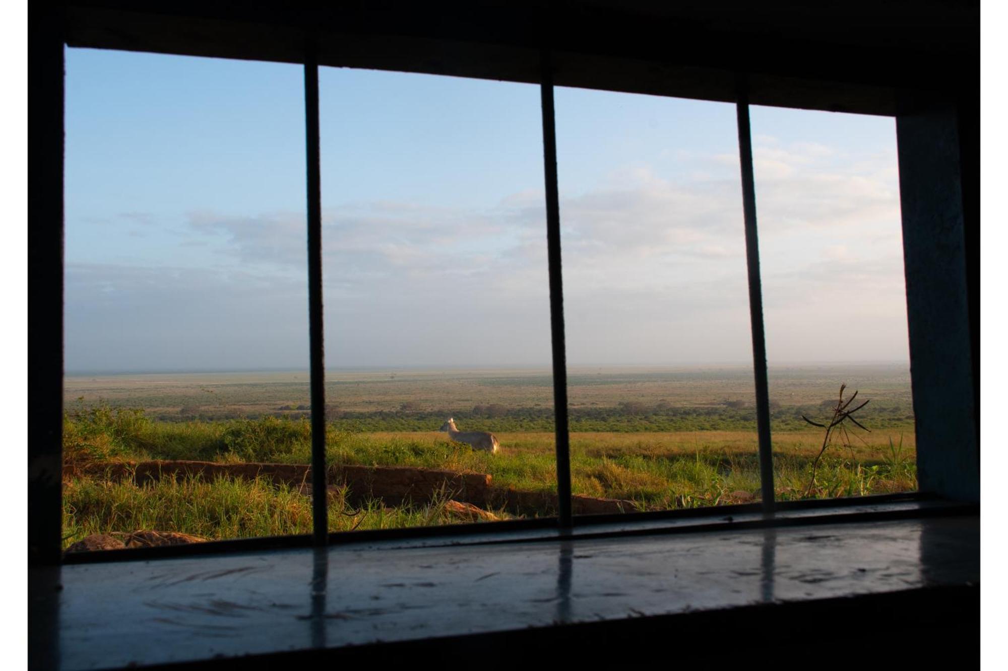 Voi Safari Lodge Екстер'єр фото